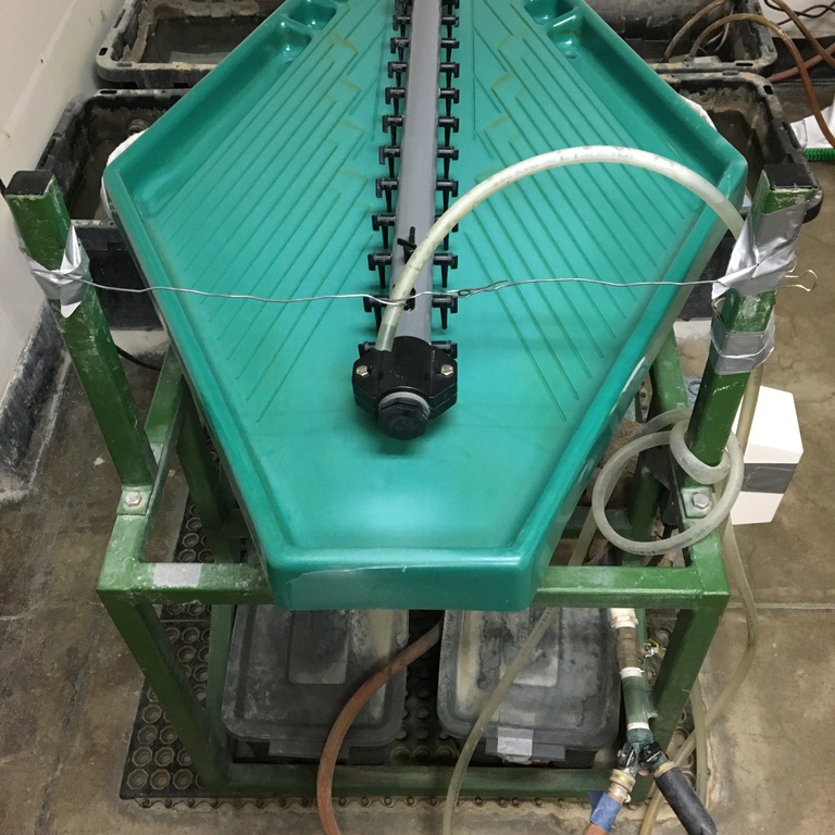 water table